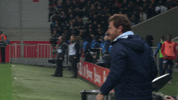 Andre Villas Boas Football GIF by Olympique de Marseille
