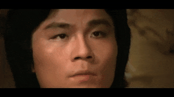 martial arts the magnificent ruffians GIF by Shaw Brothers