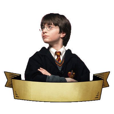 Wizarding World Magic Sticker by Harry Potter