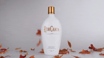 Football Party GIF by RumChata