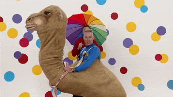 Happy Party GIF by The Wiggles