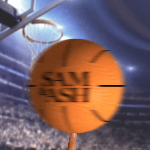 Basketball GIF by Sam & Ash, LLP