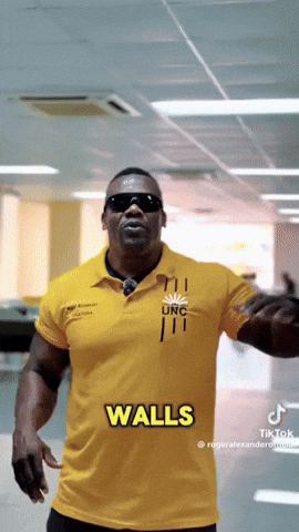Cameras Gates GIF
