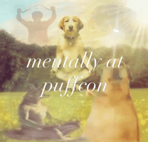 Peak Roger GIF