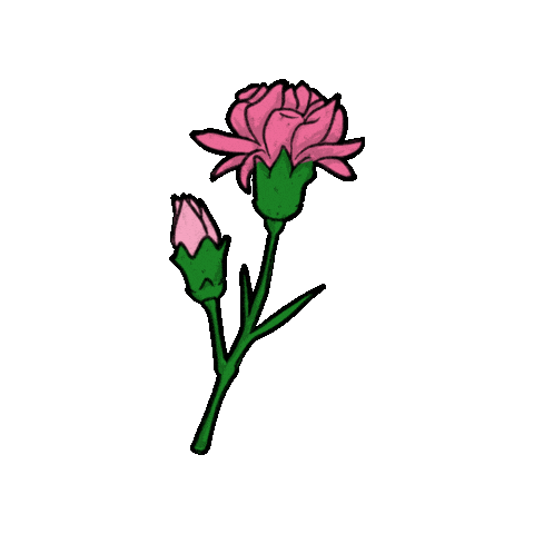 Flower 꽃 Sticker