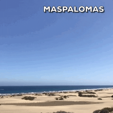 Beach Spain GIF by Visit Maspalomas