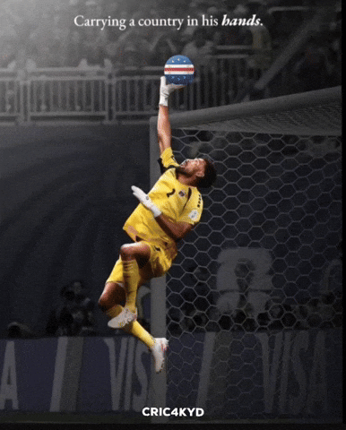 Fifa World Cup Football GIF