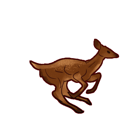 Deer Running Sticker by Contextual.Matters