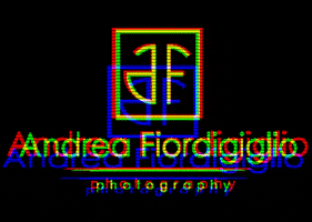 AndreaFiordigiglio GIF