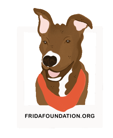Frida Foundation Sticker