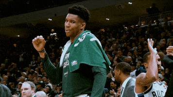 Lets Go Yes GIF by Milwaukee Bucks