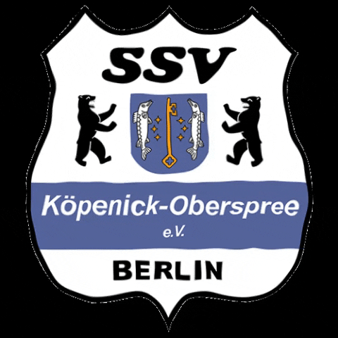 ssvkoepenickoberspree GIF