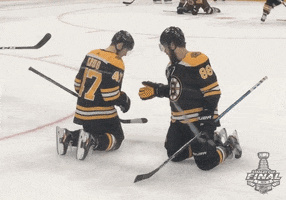 ice hockey spinning GIF by NHL