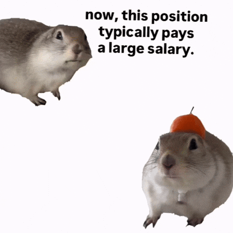 Squirrel Celery GIF