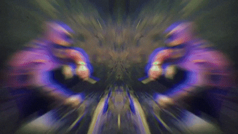 undefined: undefined - SIMP image 2