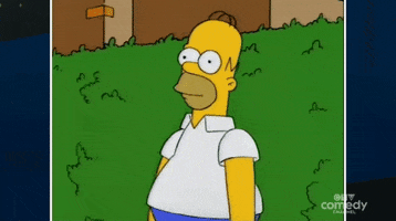 Homer Simpson Reaction GIF by CTV Comedy Channel