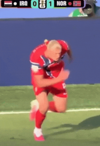 Norway Viking GIF