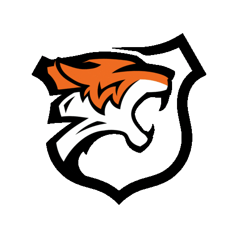 American Usa Sticker by TigerTough