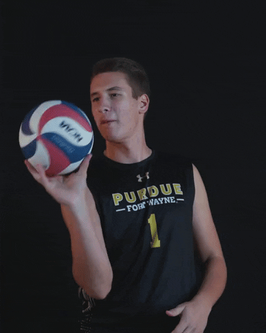 Ball Volleyball GIF by Purdue Fort Wayne Athletics