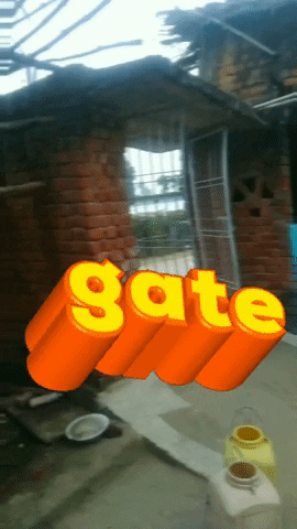 Look GIF