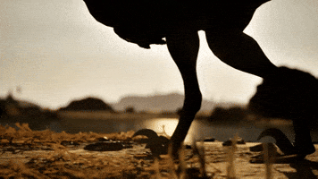 Dinosaur GIF