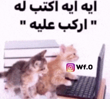 Wf0 GIF