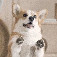 virbacbrasil-virbacpecuaria-virbacbr-QeElJfPi9pG7fNQw2f