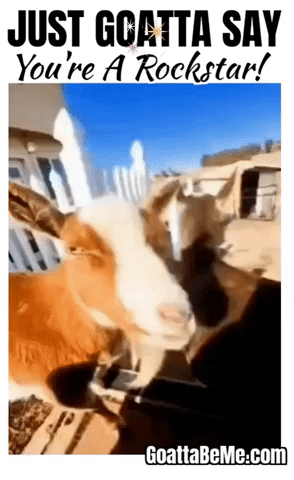 Awesome Great Job GIF by Goatta Be Me Goats! Adventures of Pumpkin, Cookie and Java!