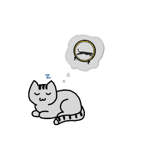 K9 Ballistics | One Fast Cat Sticker