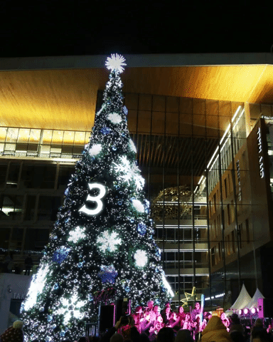 Christmas Tree Surreybc GIF by Surrey Special Events