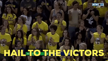 Hail To The Victors GIF by Michigan Athletics