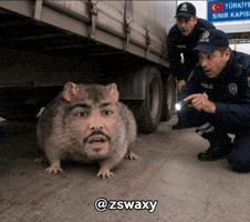 X Reels GIF