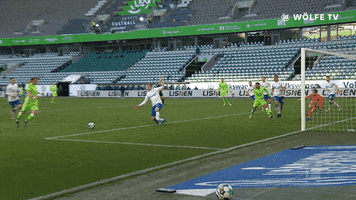Football Sport GIF by VfL Wolfsburg