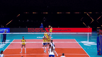 Sorry Oh No GIF by Volleyball World