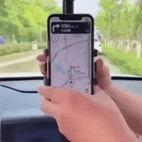 GIF Animado