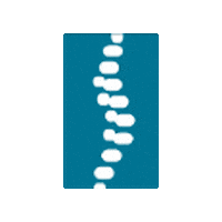 Bcca Sticker by British Columbia Chiropractic Association