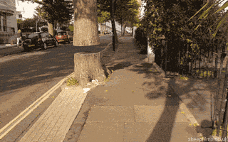 float TREE STUMP GIF by sheepfilms