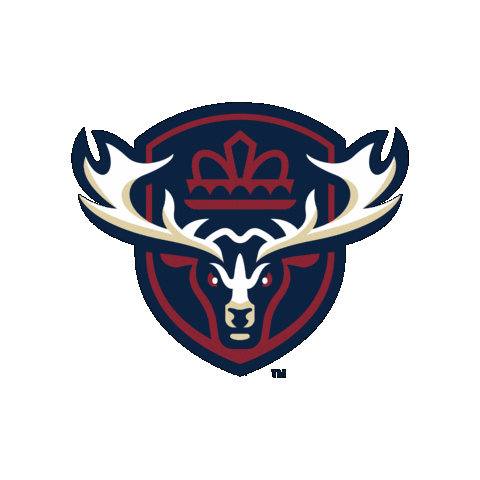 Newfoundland Regiment Sticker