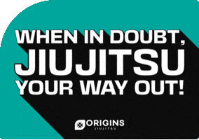 GIF by Origins Martial Arts