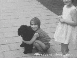 Dog Besties GIF by BrabantinBeelden
