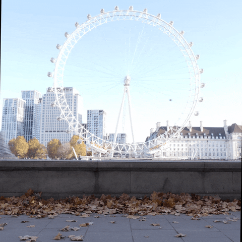 London Running GIF by Budgy Smuggler