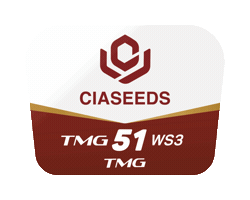 Tmg Sticker by Ciaseeds