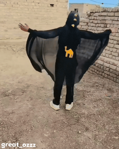 Pubg Dance GIF