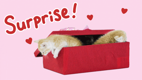 Animation Love GIF by Holler Studios