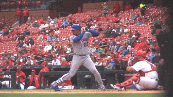 Admire New York Mets GIF by MLB