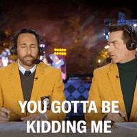 Are You Kidding Me Gif