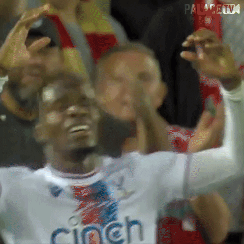 Lay Premier League GIF by CPFC