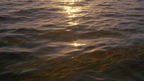 Sunllight GIFs - Get the best GIF on GIPHY
