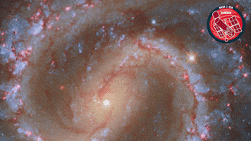 Stars Glowing GIF by ESA/Hubble Space Telescope