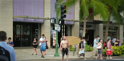 hawaii GIF